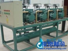 比澤爾并聯(lián)機(jī)組