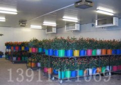 花卉冷庫建造安裝